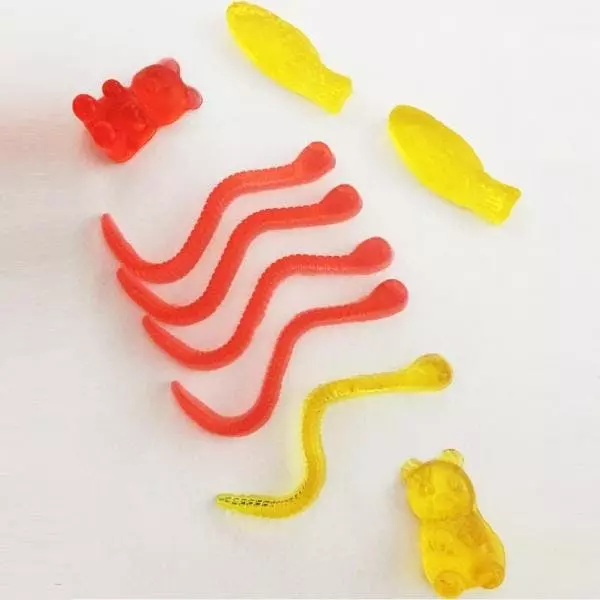 Syntrox-germany Syntrox Kombigerät Gummibärchenmaker & Schokofondue 8 Syntrox-germany Syntrox Kombigerät Gummibärchenmaker & Schokofondue – Bild 6